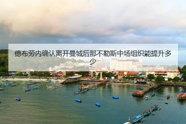 de-bu-lao-nei-que-ren-li-kai-man-cheng-hou-na-bu-le-si-zhong-chang-zu-zhi-neng-ti-sheng-duo-shao-2-468.jpg