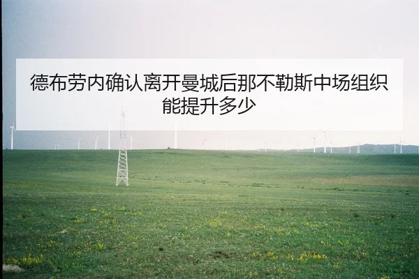 de-bu-lao-nei-que-ren-li-kai-man-cheng-hou-na-bu-le-si-zhong-chang-zu-zhi-neng-ti-sheng-duo-shao-1-900.jpg