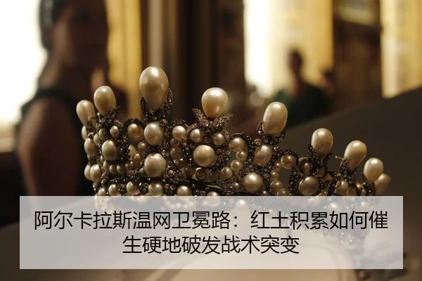 a-er-ka-la-si-wen-wang-wei-mian-lu-hong-tu-ji-lei-ru-he-cui-sheng-ying-di-po-fa-zhan-shu-tu-bian-2-584.jpg