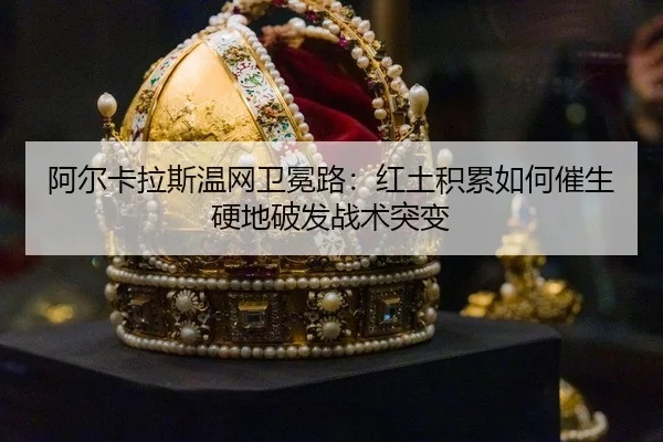 a-er-ka-la-si-wen-wang-wei-mian-lu-hong-tu-ji-lei-ru-he-cui-sheng-ying-di-po-fa-zhan-shu-tu-bian-3-649.jpg