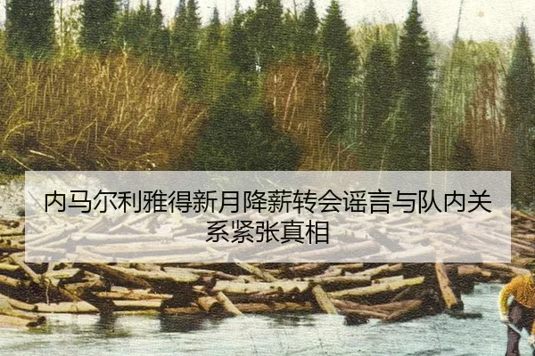 nei-ma-er-li-ya-de-xin-yue-jiang-xin-zhuan-hui-yao-yan-yu-dui-nei-guan-ji-jin-zhang-zhen-xiang-2-599.jpg
